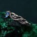 Leaves of Serenity: Gothic Blue Gemstone Ring