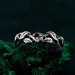 Garnet Twig Silver Ring with Dainty Branch and Petite Leaf Design