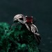 Flame of the Forest: Gothic Garnet Ring