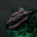 Wild Nature Silver Ring – Elegant Minimalist Design with Pine Tree, Twig, and Pinecone Details
