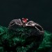 Exquisite Twin Snakes Emerald Ring - Unique Boho Serpent Design