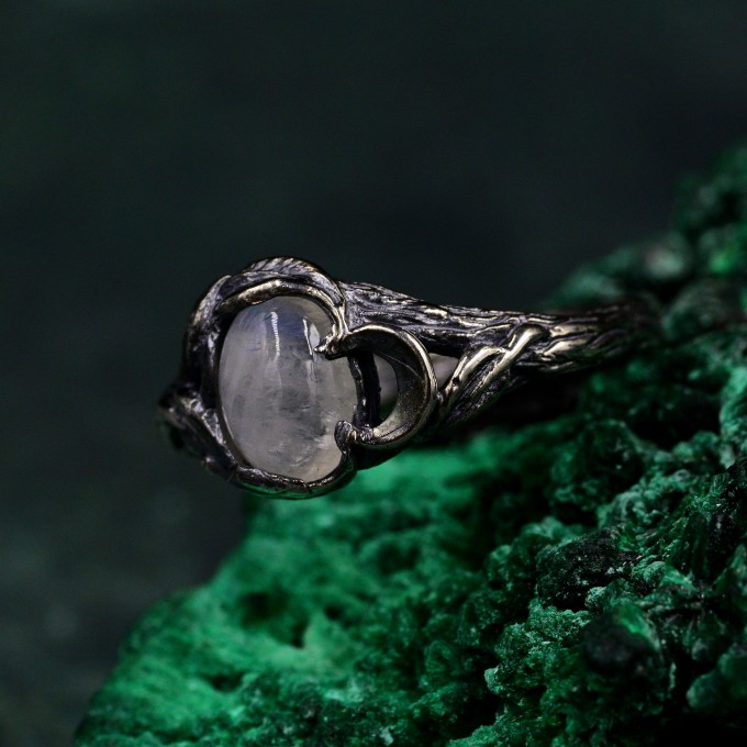 Moon Phase Silver Ring & Nature Inspired Twig Engagement Ring