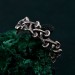 Unbreakable Ties: Gothic Chain Silver Ring