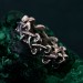 Mushroom Fantasy Ring - Nature-Inspired Silver Forest Symphony Ring