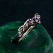 Whispering Vines: Gothic Amethyst Ring