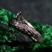 Gothic Silver Ring with Intricate Feather Motif