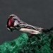 Romantic Silver Band: Ethereal Fairycore Flower Design