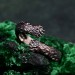 Gothic Silver Ring with Intricate Feather Motif