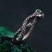 Serpentine Embrace Ring: Unique Twisted and Entwined Snake Band