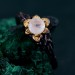 Moonstone Blossom Twig Ring & Enchanted Forest Moonstone Ring