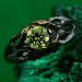 Mystical Forest Ring with Peridot - Leafy Engagement Ring with Branch and Blossom