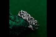 Enchanted Woods Ring, Nature's Embrace, Silver Forest Band, Harmonious Grove Ring, Woodland Whispers, Gift for Her, Gift for Him