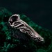 Infernal Grace: Sterling Silver Ring with Deep Red Garnet