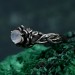 Elven Men's Silver Sapphire Vine Ring – Unique Fantasy Wedding Ring, Nature-Inspired Witchy Jewelry