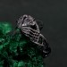 Echo of Eternity: Gothic Skull Band