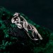 Garnet Twig Silver Ring with Dainty Branch and Petite Leaf Design
