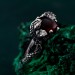Thorn Snake Ring – Goth Serpent Design, Silver Dragon Scale Jewelry, Fantasy Serpents of the Thorns Style Accessory
