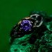 Mystical Forest Ring with Amethyst and Leafy Blossom Design