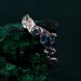 Whispers of Dusk: Gothic Leaf Sapphire Ring