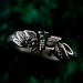 Unique Butterfly Engagement Ring – Nature-Inspired Design with Emerald, Twig Engagement Ring in Sterling Silver