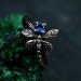 Fluttering Butterfly Gem Ring with Sapphire and Silver Design