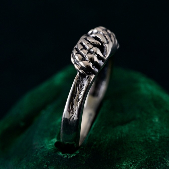 Handcrafted Lion's Paw Sterling Silver Ring – Artisan Animal Jewelry for Men and Women