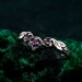 Whispering Vines: Gothic Amethyst Ring