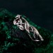 Dainty Garnet Twig Silver Ring – Petite Adorned Branch and Leaf Design
