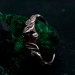 Infernal Grace: Sterling Silver Ring with Deep Red Garnet
